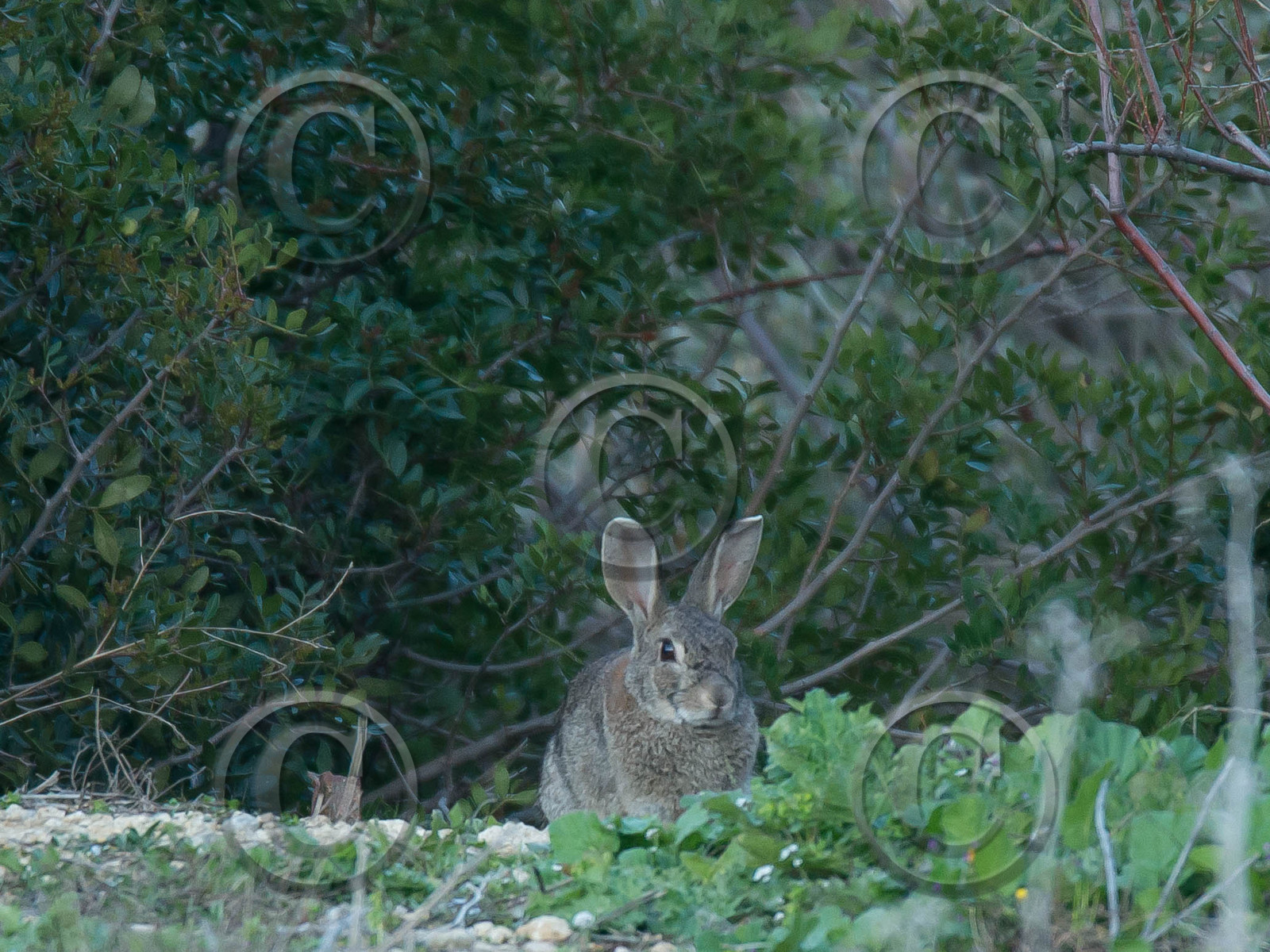 MISE A  JOUR  en cours